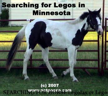 SEARCHING FOR HORSE Legolas or Legos, Ole Versarys Doll Near Ceylon, MN, 56121